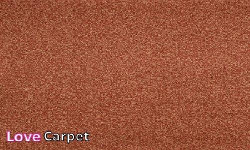 Nutmeg from the Universal Tones Carpet  range