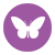 Moth proof carpet Moth proof carpet