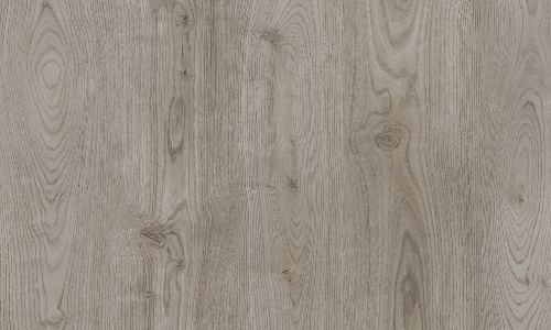 1009 Smoke Oak in the Holland Park Classical range