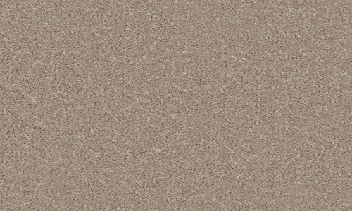Ammonite from the Sensation Original range