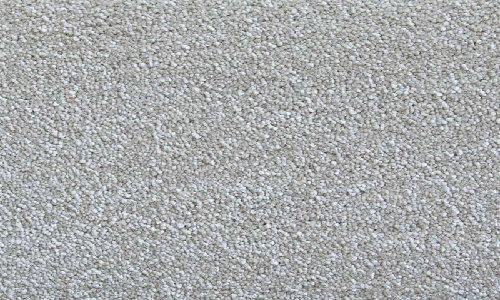 Biscuit from the Eastbourne Elite range