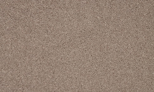 Biscuit from the Trinity range