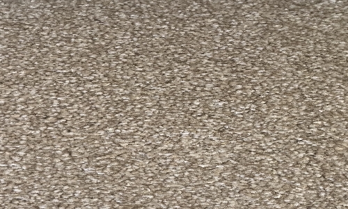 Bone from the Zenith range