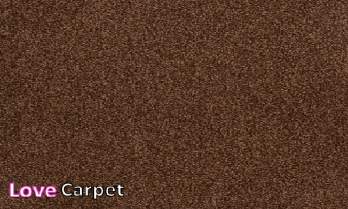 Cafe Latte from the Universal Tones Carpet  range