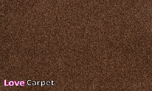 Cafe Latte from the Universal Tones Carpet  range