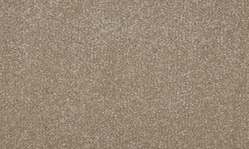 Cambrian Stone from the Sensation Original range