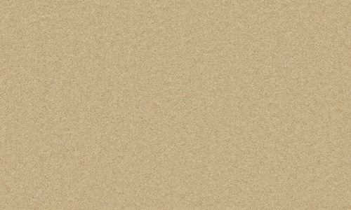 Camel from the Pembroke range