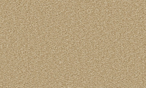 Caramel from the Apollo Plus range