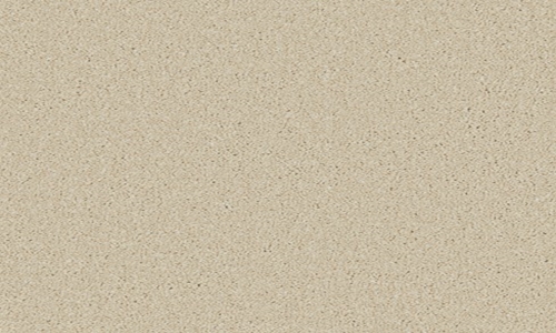 Caribou from the Zenith range