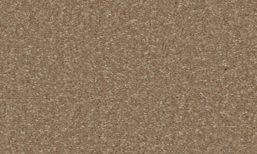 Cedar from the Kingston Classic range