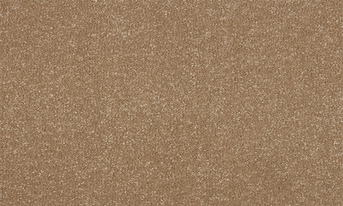 Cocoa Cream from the Stainfree Ultra range