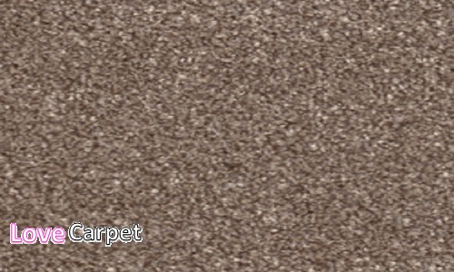 Cork Oak from the Apollo Plus range