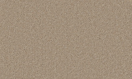 Dormouse from the Hampstead Supreme range