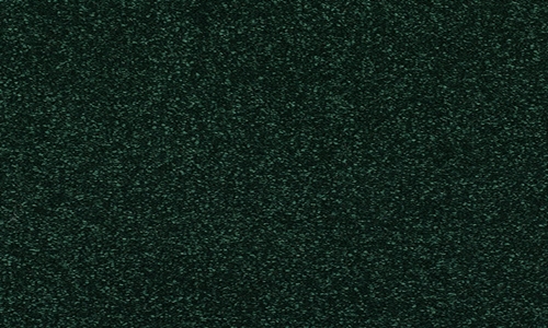 Fir Green from the Stainfree Finesse range