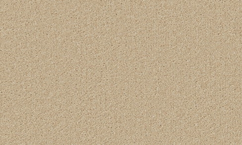 Fossil from the Hampstead Supreme range