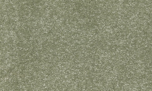 Greengage from the Riva range