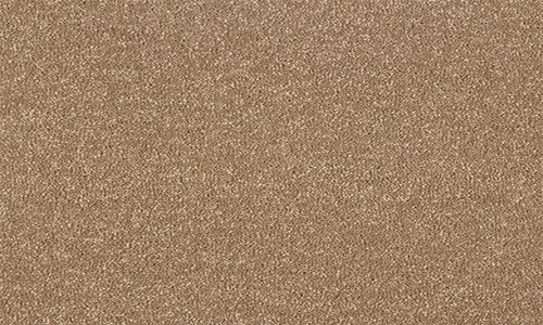 Mocha from the Stainfree Maximus range