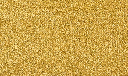 Mustard from the Eastbourne Elite range