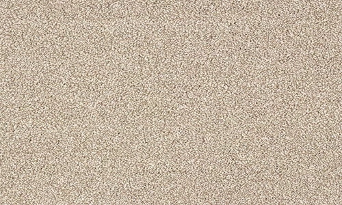 Nutmeg from the Stainfree Panache range