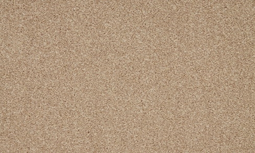 Palm Sugar from the Trinity range