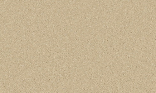 Palomino Gold from the Zenith range