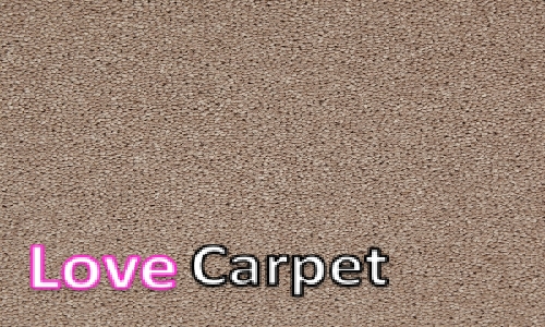 Porpoise from the Temple Twist range
