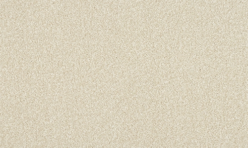 Powder from the Stainfree Ultra range