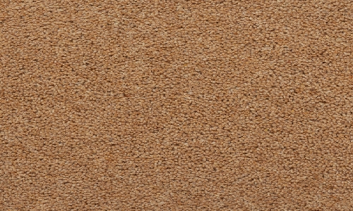 Saint Elias from the Summit Twist Elite range