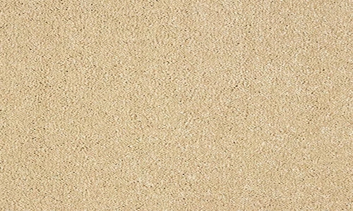 Sea Shell from the Stainfree Panache range
