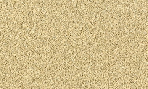 Snowdrop from the Royal Charter Deluxe range