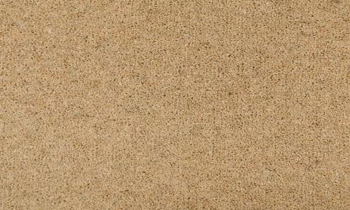 Summer from the Seasons range