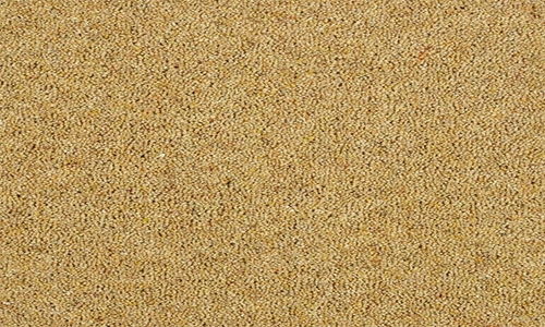 Summer Sun from the Charter Berber Deluxe range