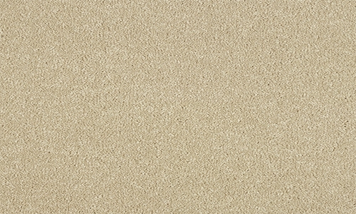 Timeless from the Stainfree Maximus range
